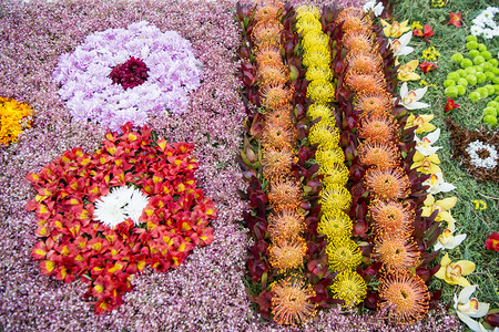 在葡萄牙大西洋马德拉岛富查尔市FestadaFlor或春花节的阿里亚加节日的彩色花毯装饰马德拉富查尔2018年4月2018年4月图片