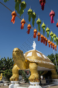 泰国北部弗拉市瓦邦苏南寺的一只大金龟泰国弗拉2018年11月泰国佛拉瓦庞苏南寺背景图片