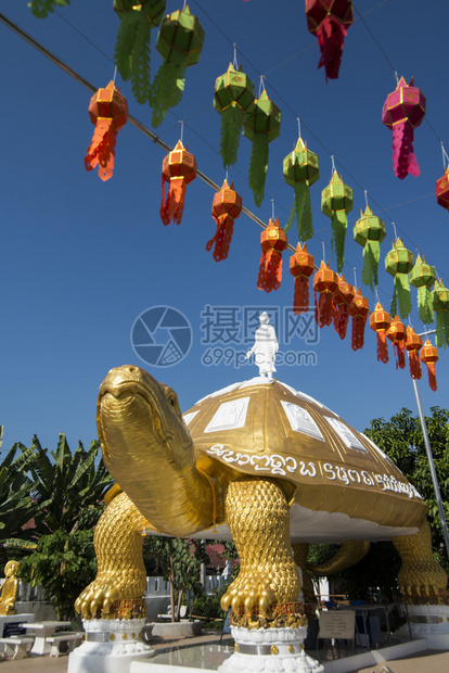 泰国北部弗拉市瓦邦苏南寺的一只大金龟泰国弗拉2018年11月泰国佛拉瓦庞苏南寺图片
