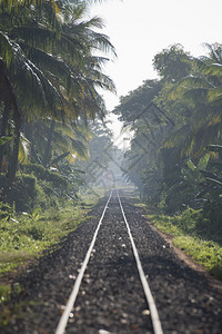 柬埔寨马德望市中心附近的铁路线柬埔寨马德望2018年月和图片
