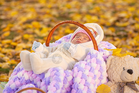 婴儿在秋季公园的篮子中睡觉坐在泰迪熊旁边图片