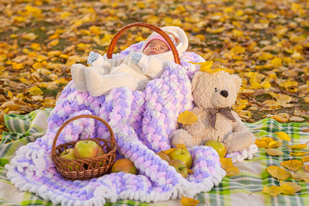 一个两月大的婴儿在公园篮子里睡着即时野餐图片