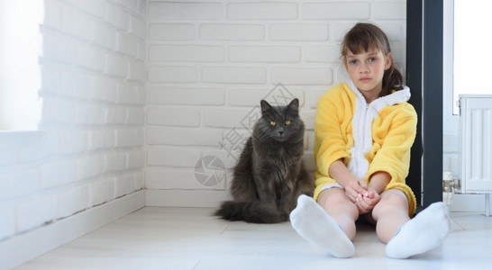 被惩罚的女孩坐在房间角落一头大只家猫坐在附近图片