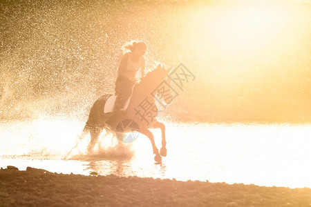 在日落的光线下一个女孩骑着匹马在沿河岸的水里骑着一匹马图片