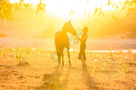 女孩和马日落后光照耀着一匹马的女孩背景