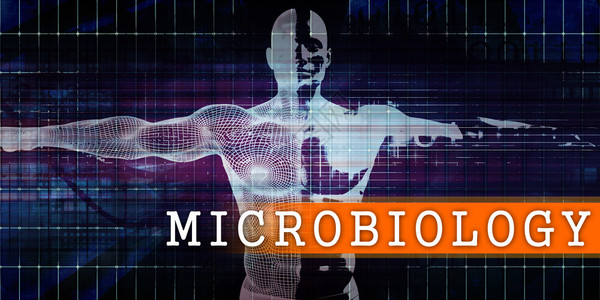 微生物医学工业与人体身扫描概念图片