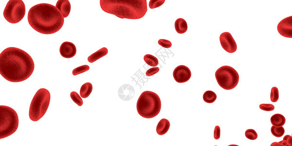 红血细胞通过循环系统流动图片