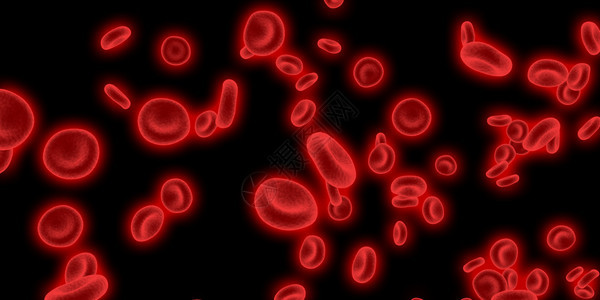 红血细胞通过循环系统流动图片