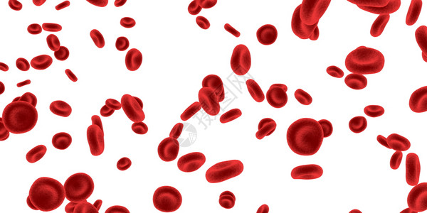 在清晰背景下分离的红细胞红细胞图片