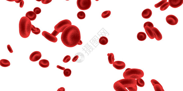 红血细胞通过循环系统流动高清图片