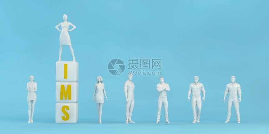 IMS信息管理系统成功解决方案和服务信息管理系统高清图片下载-正版图片307063476-摄图网