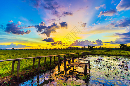 泰国纳洪拉奇西马孔布里有着100年历史的稻田与日落之间的木桥图片