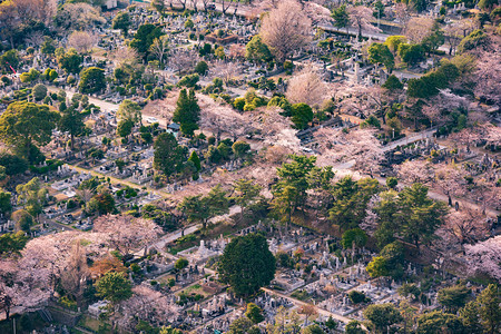 日本东京青山空中观景图片