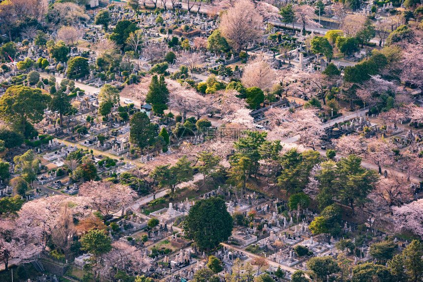 日本东京青山空中观景