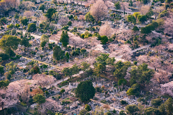 日本东京青山空中观景图片