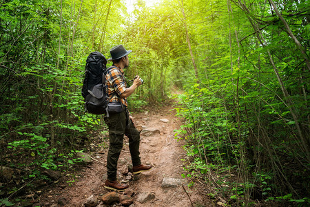 持有照相机和背包的人类旅行者站在天然森林中图片