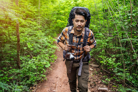 背着行走和寻找天然森林的男旅行者图片