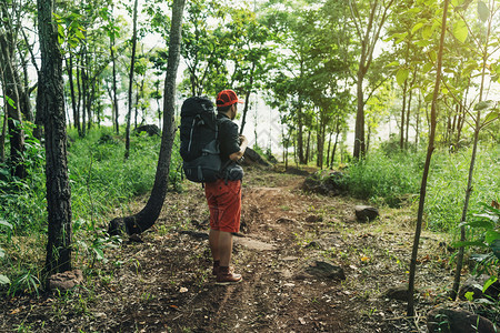 自然林中背和的男旅客图片