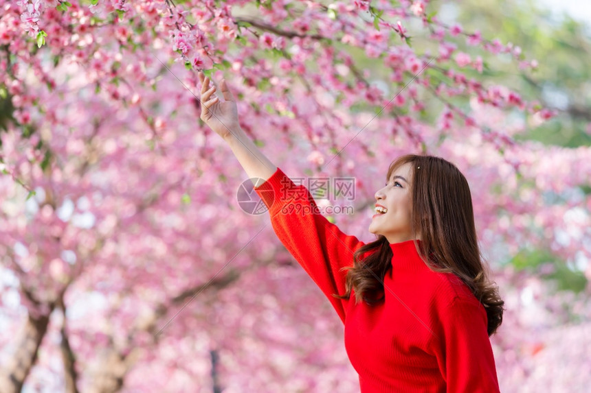 快乐的女旅行者看着樱花或在公园中开图片
