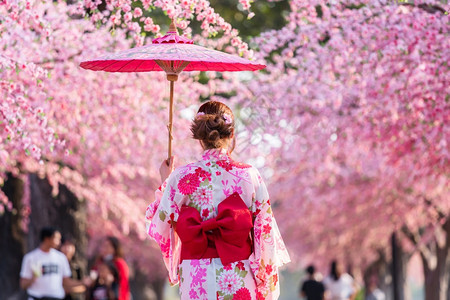 衣着齐莫诺kimonodress的妇女拿着雨伞图片