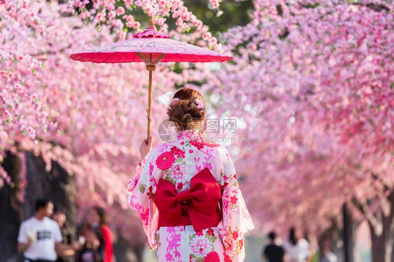 衣着齐莫诺kimonodress的妇女拿着雨伞图片