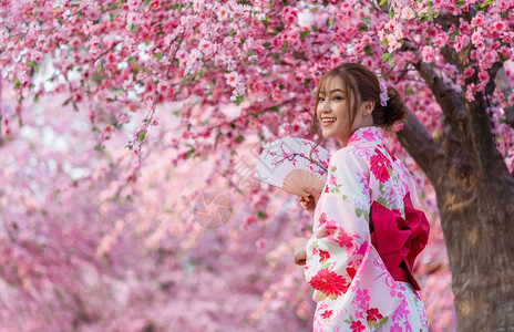 衣着折叠风扇看樱花或朵在园中开图片