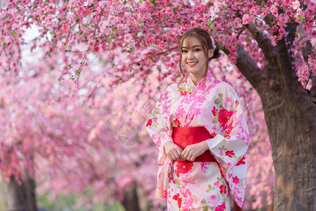 穿着和服的女人看着花园里盛开的樱花或樱花图片
