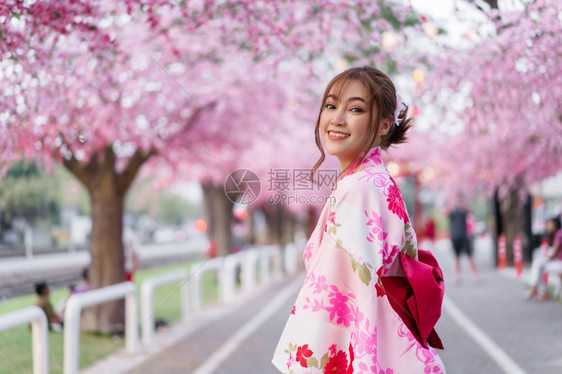穿着和服的女人看着花园里盛开的樱花或樱花图片