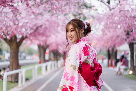 穿着和服的女人看着花园里盛开的樱花或樱花图片