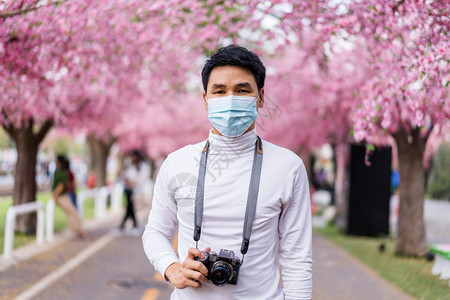 年轻男子旅行者戴面罩看着樱花或在公园中开图片