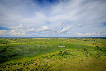 博茨瓦纳奥卡万戈三角洲的空中景象图片