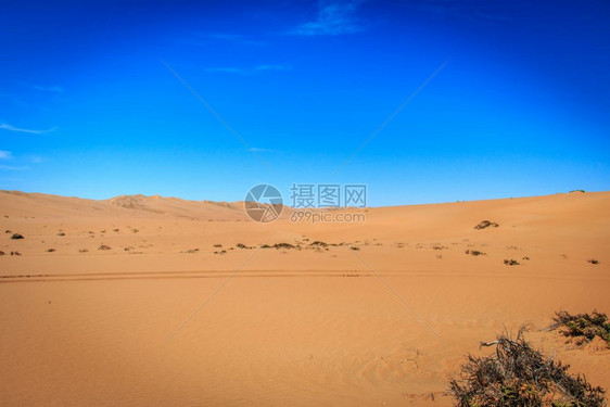 纳米比亚布沙漠的丘图片