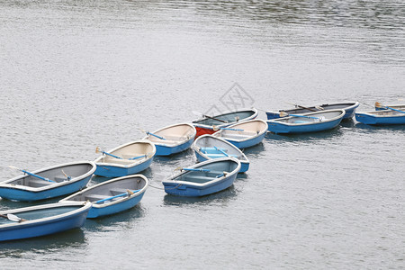 在Chidorigafuchi公园的河里有许多船图片