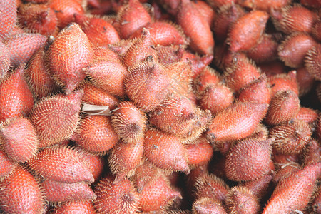 新鲜的SalacaelulisSalak棕榈水果作为食物背景图片