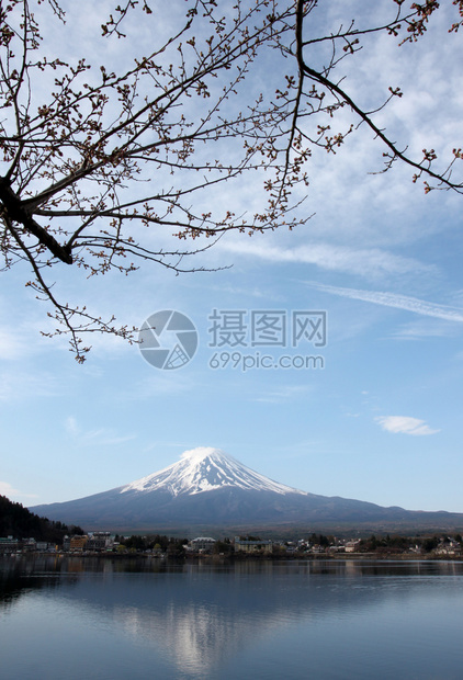 川口湖边的藤山和樱花没有开图片