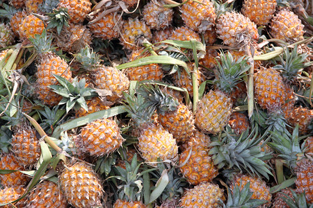 水果市场许多熟菠萝的堆叠作为背景图片