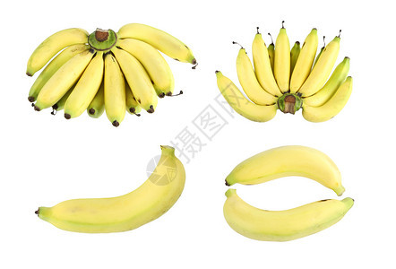 在白色背景上孤立的里普香蕉图片
