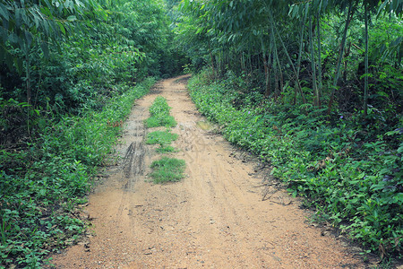 荒无人烟的乡村道路背景图片