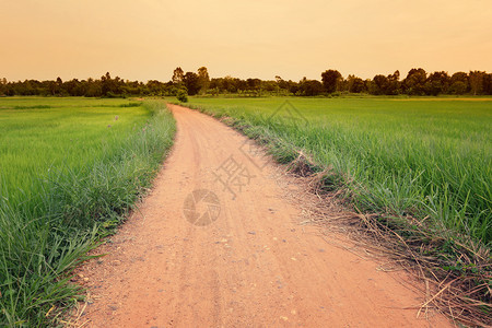 两边都有绿草的农村道路背景图片