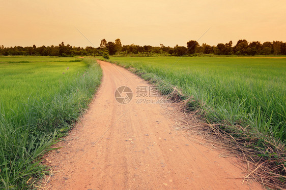 两边都有绿草的农村道路图片