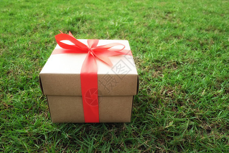 圣诞新年情人节或周纪念日绿草坪上的棕色礼品盒图片
