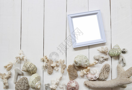 白木地板上的质相框有壳牌和珊瑚礁用于海洋和夏季旅游的概念图片