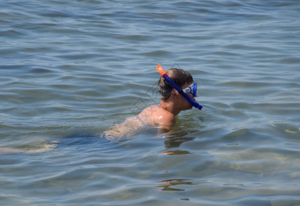 这家伙在海中游泳他带着面具和管子在海中游泳图片