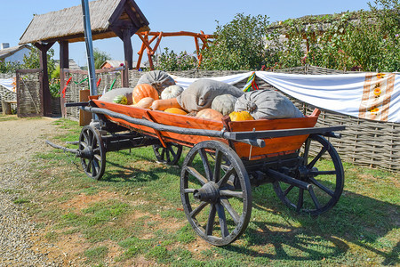 俄罗斯Poltavskaya村2015年9月6日联合收割者Don农业机械公司联合收割者Don农业机械公司图片