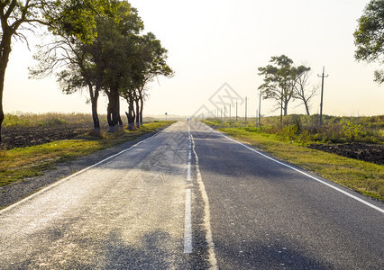 树木和田地之间道路图片