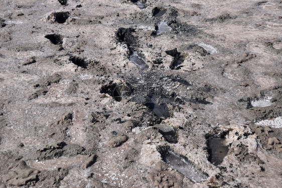 盐湖泥浆中的人类脚足痕迹盐湖表面泥浆中的人类脚足痕迹图片
