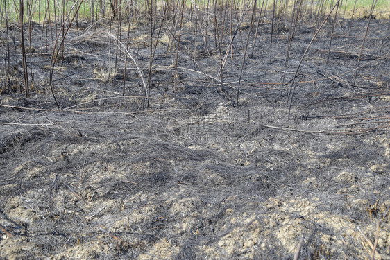 从土壤上烧焦的草地灰烬火烧之后的地貌土壤上烧焦的草地灰烬火烧之后的地貌图片