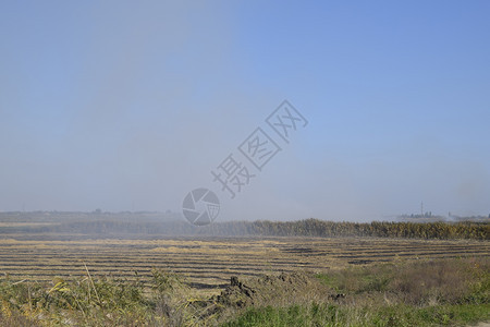 景观燃烧场在田野里焚烧稻草稻田景观燃烧场在田野里焚烧稻草稻田酒店图片