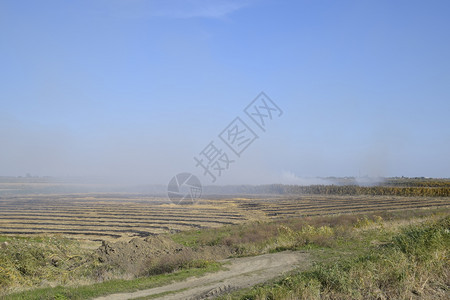 景观燃烧场在田野里焚烧稻草稻田景观燃烧场在田野里焚烧稻草稻田酒店图片