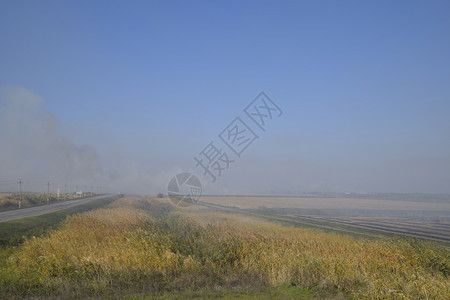 景观燃烧场在田野里焚烧稻草稻田景观燃烧场在田野里焚烧稻草稻田酒店图片